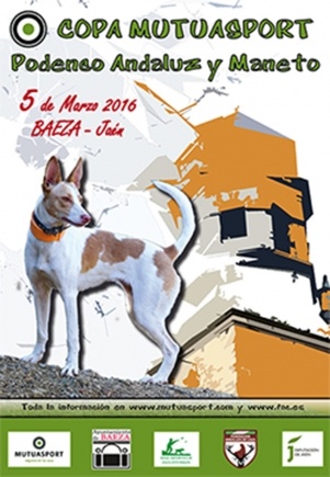 Baeza acogerá el 5 de marzo la I Copa Mutuasport de Podenco Andaluz y Maneto