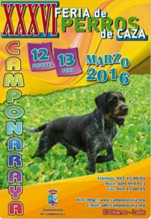 XXXVI FERIA DE PERROS DE CAZA ( CAMPONARAYA )