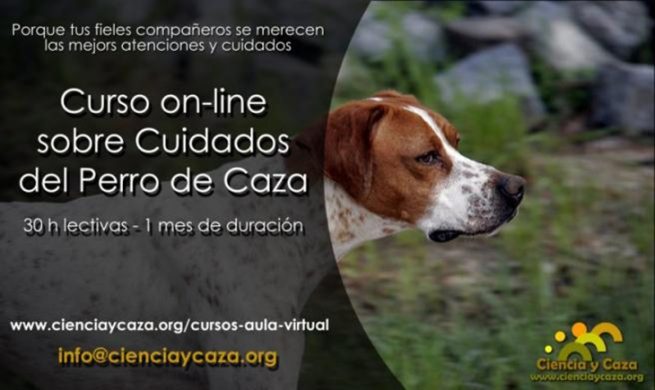 Curso online sobre ‘Cuidados Básicos del Perro de Caza’