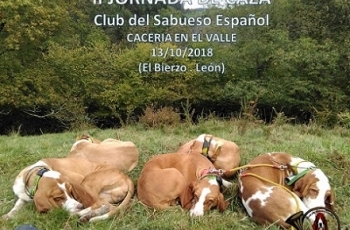 I Jornada de Caza del Club del Sabueso Español en el Valle. El Bierzo (2018)