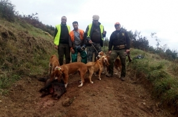 I Jornada de Caza sobre Jabali en Villaviciosa 2017