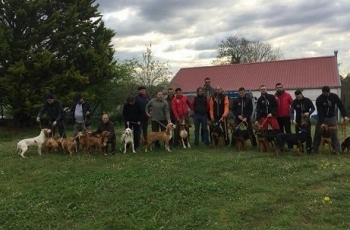 Prueba sobre Jabali Salvaje en Llanes 2018. Club del Azul de Gascuña.