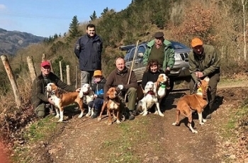 Prueba de suelta sobre Jabali salvaje en Alonsotegui 2018. Club del Sabueso Español y  Club del Griffon Vandeano y Nivernais