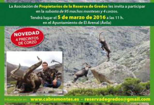 Subasta de la Reserva Regional de Caza de Gredos, el 5 de marzo